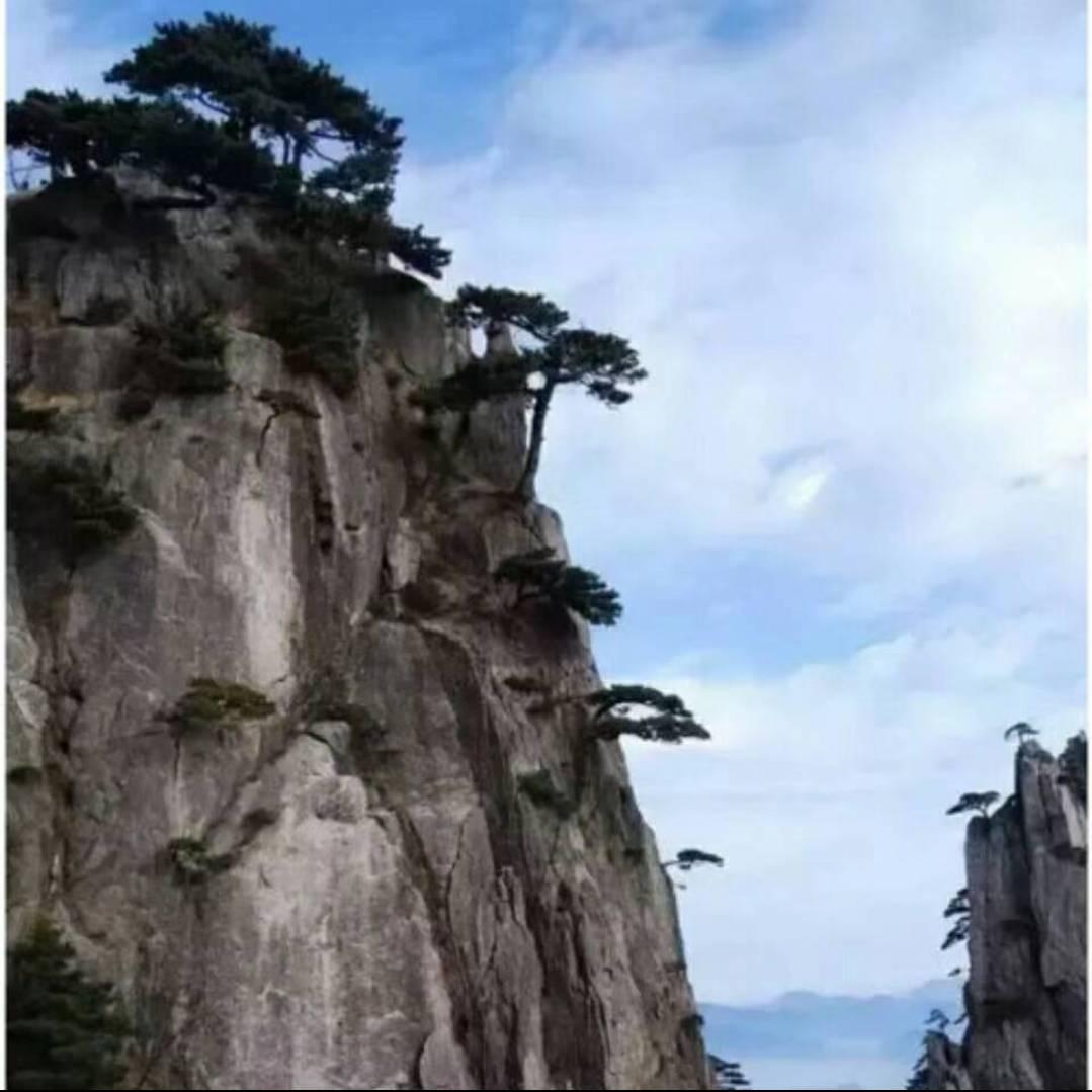 张福顺
