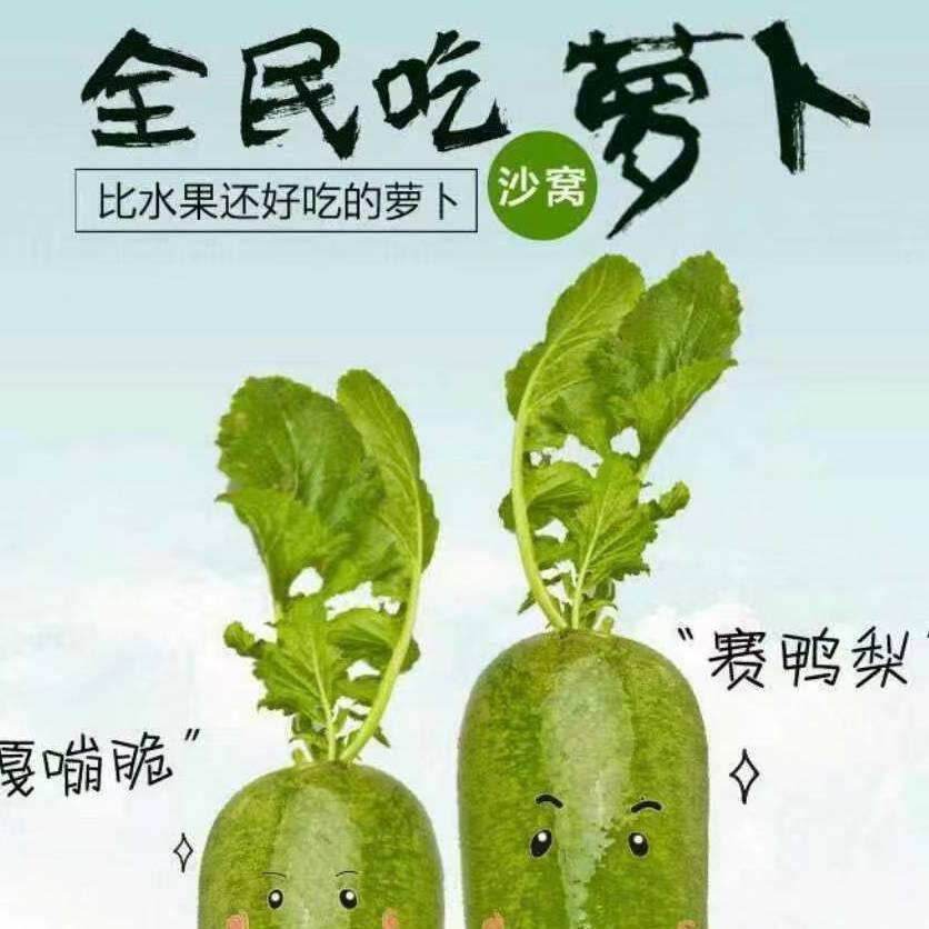 金玉蔬菜种植社