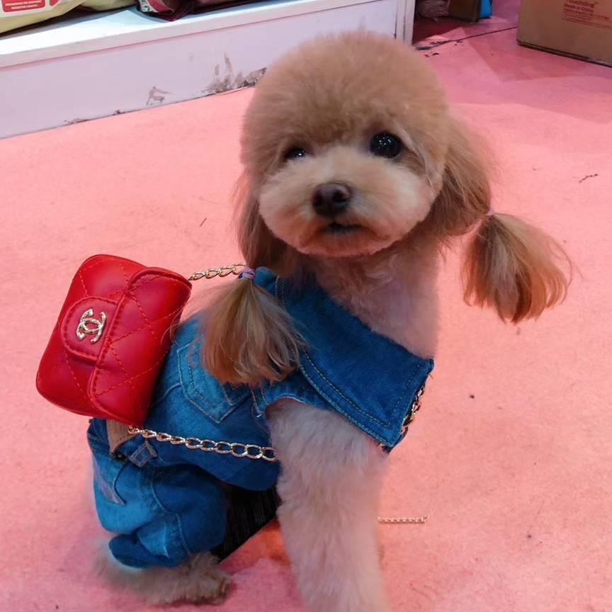 💋小白✅妞妞💕