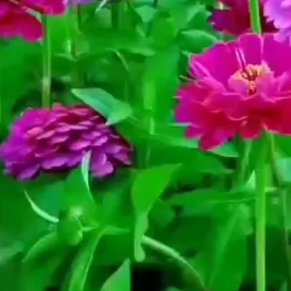 用户32661566