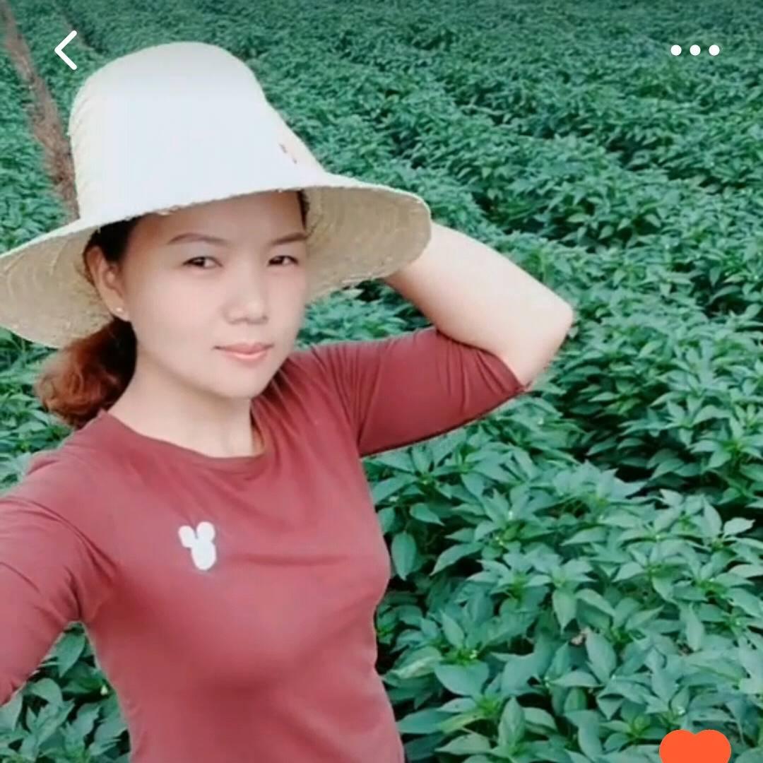 农村🌹小娜