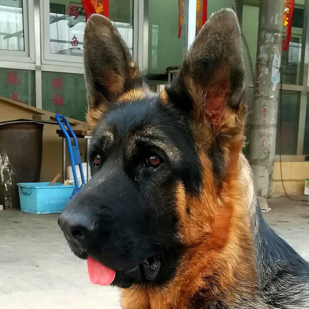 就是不吐