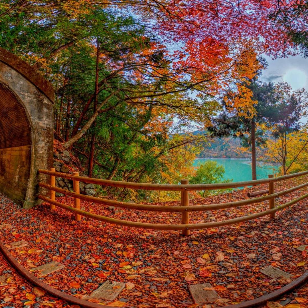 🍁我不想变老🍁