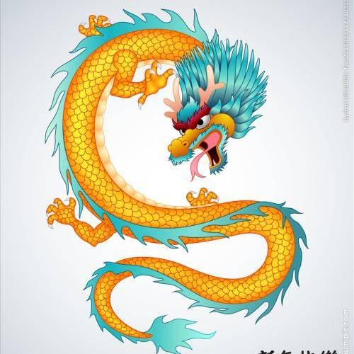 龙在江湖行天下