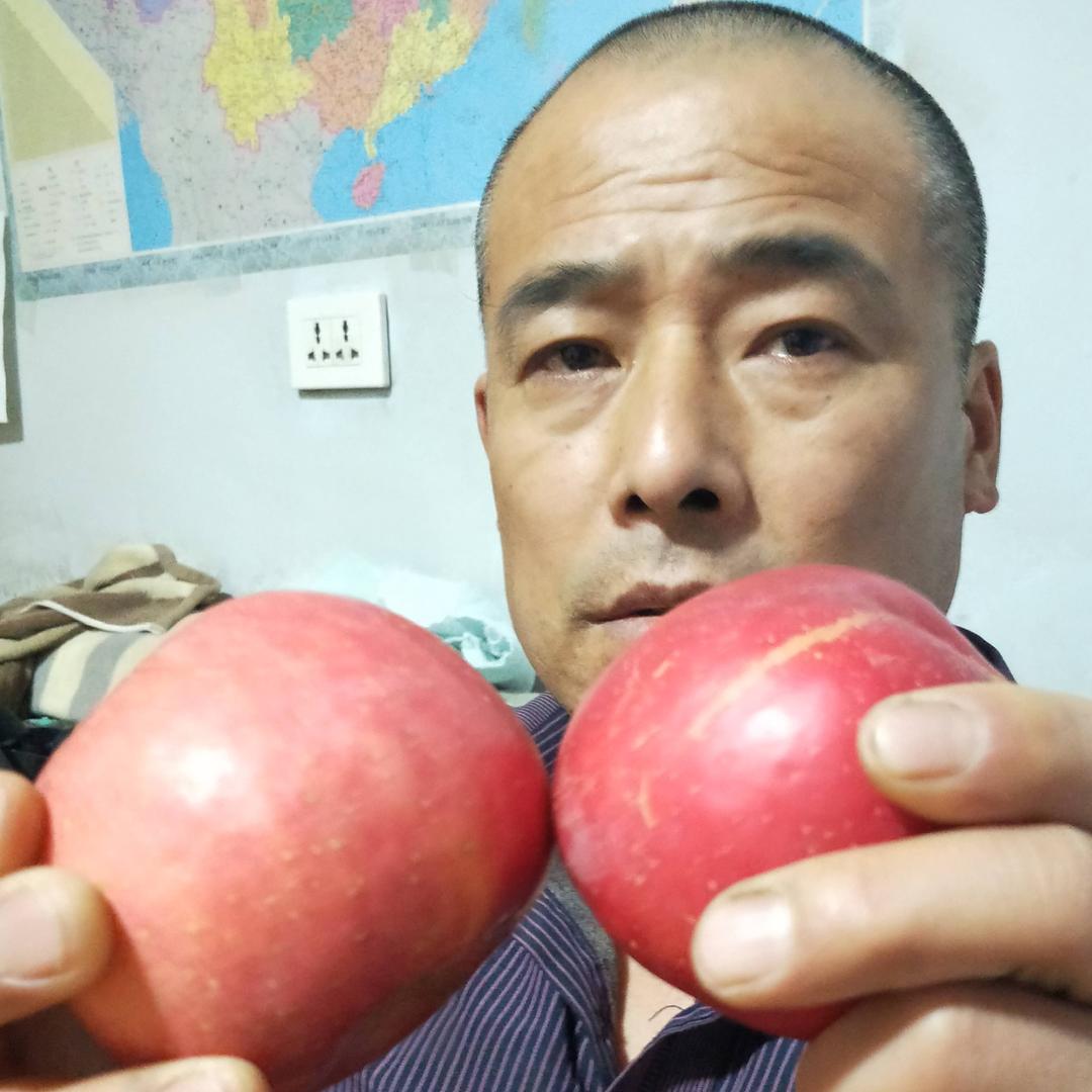 夫妻档
