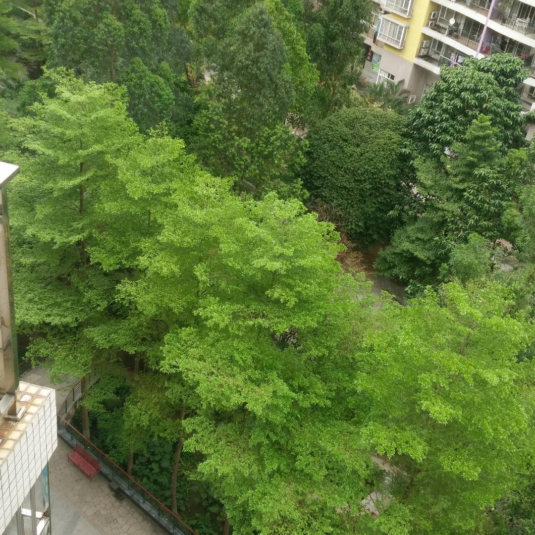 1314🔥为你着迷