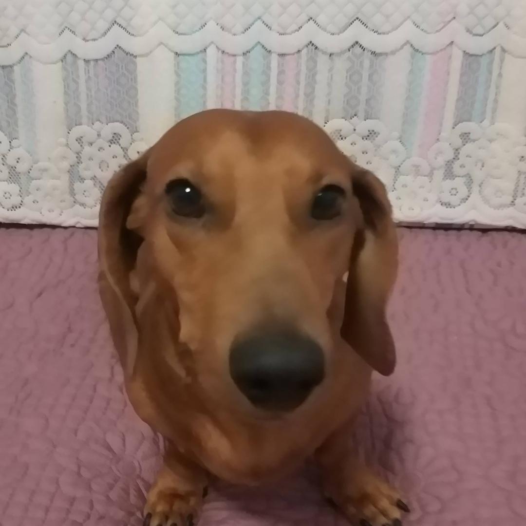 用户72462000