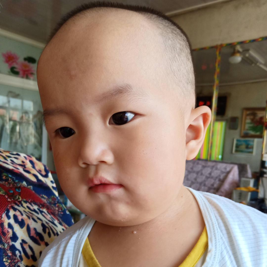 杨玉波✘