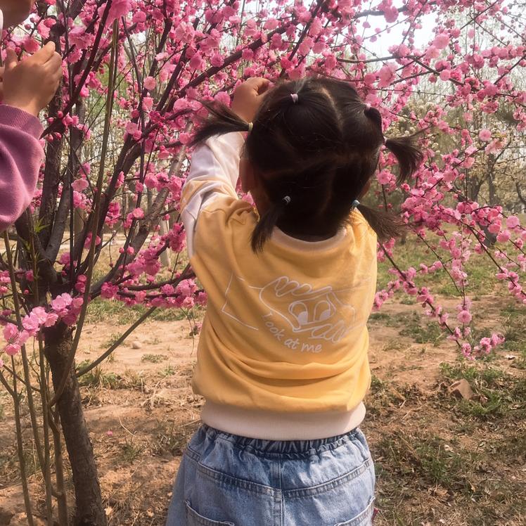小熊🌷（合拍）达人