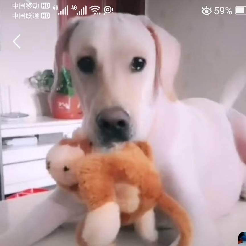 小妩媚