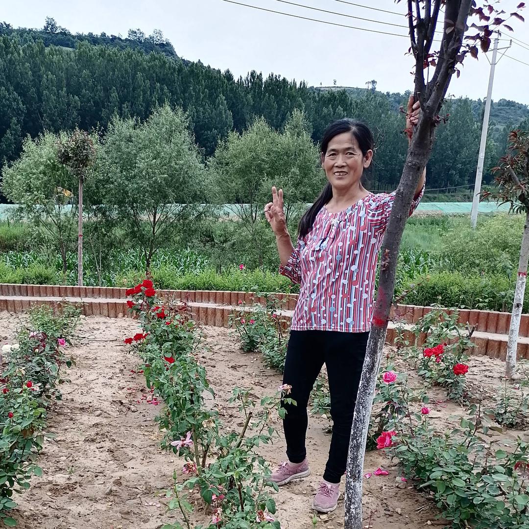 好魜好梦团购
