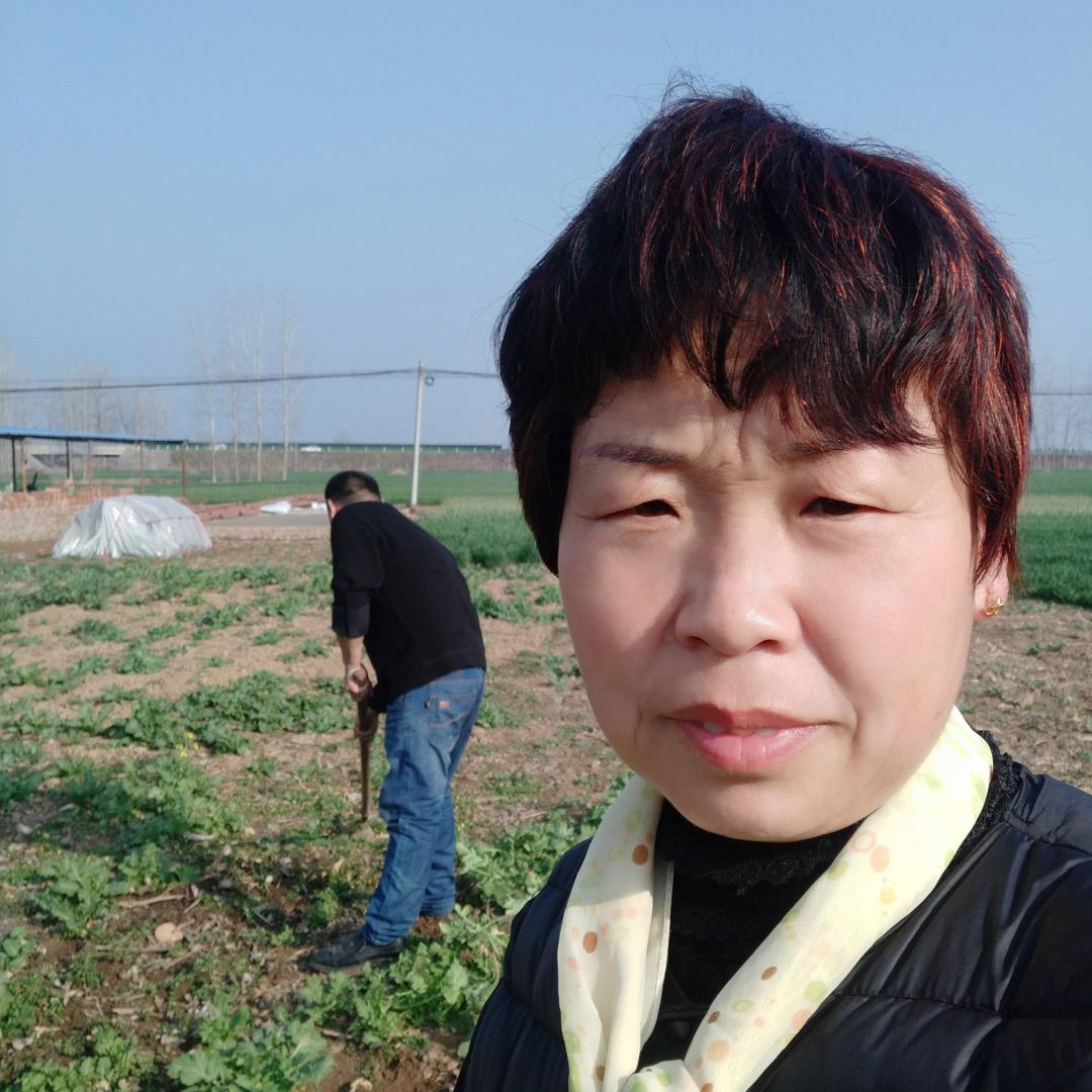 （豫🔥）70后明月