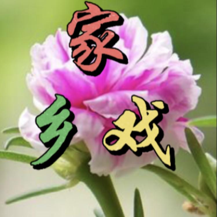 风雨人生