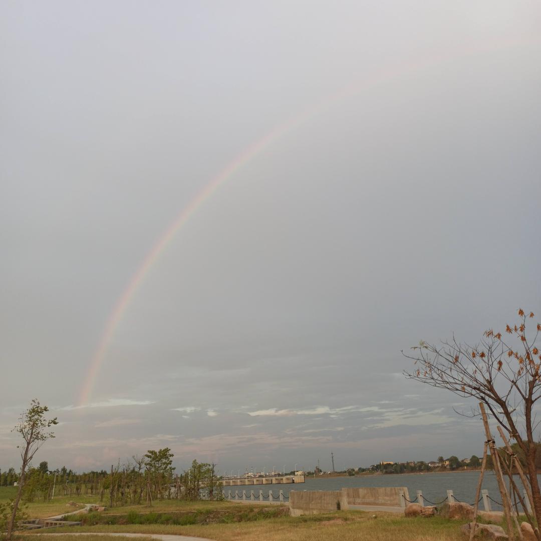 🌈飞杨音乐