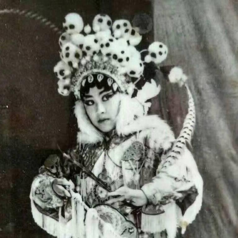 威县乱弹陈光秀