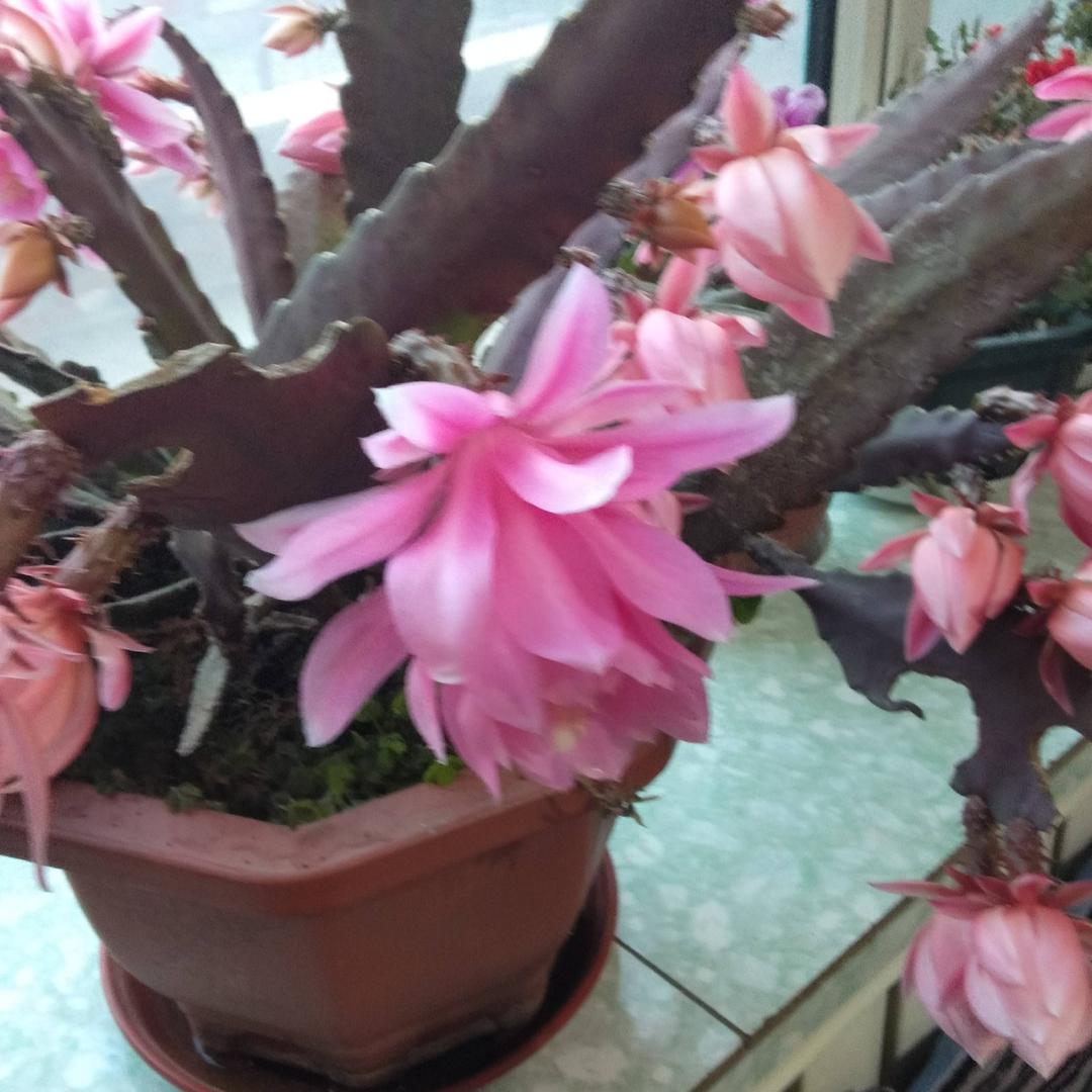 最熟悉的陌生人