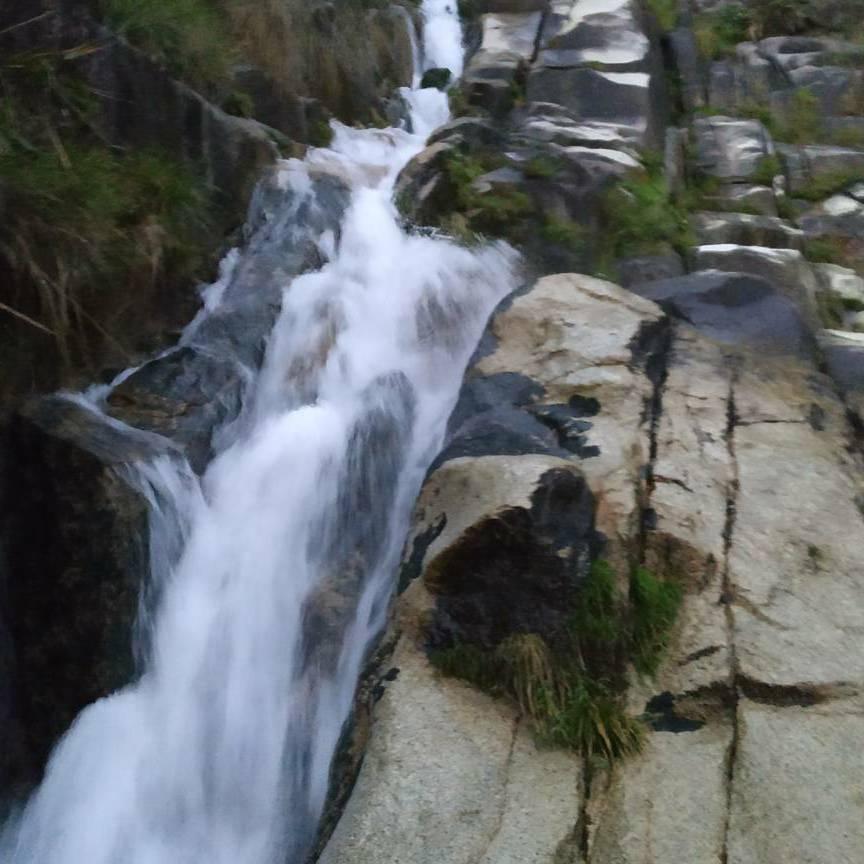 山水哥