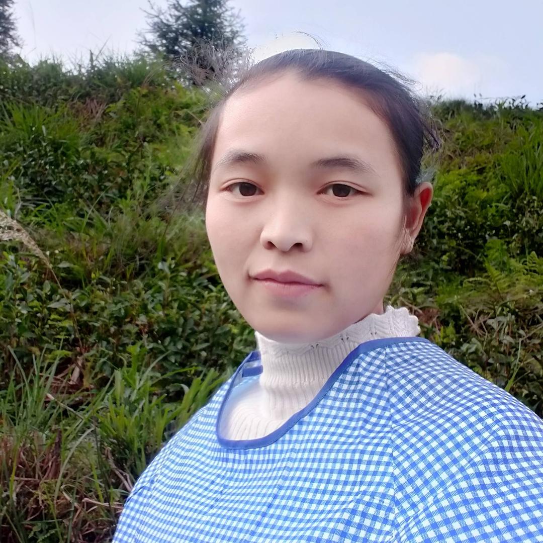 小鸭