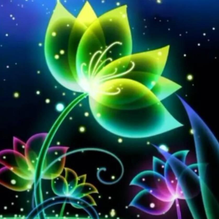 镜花水月
