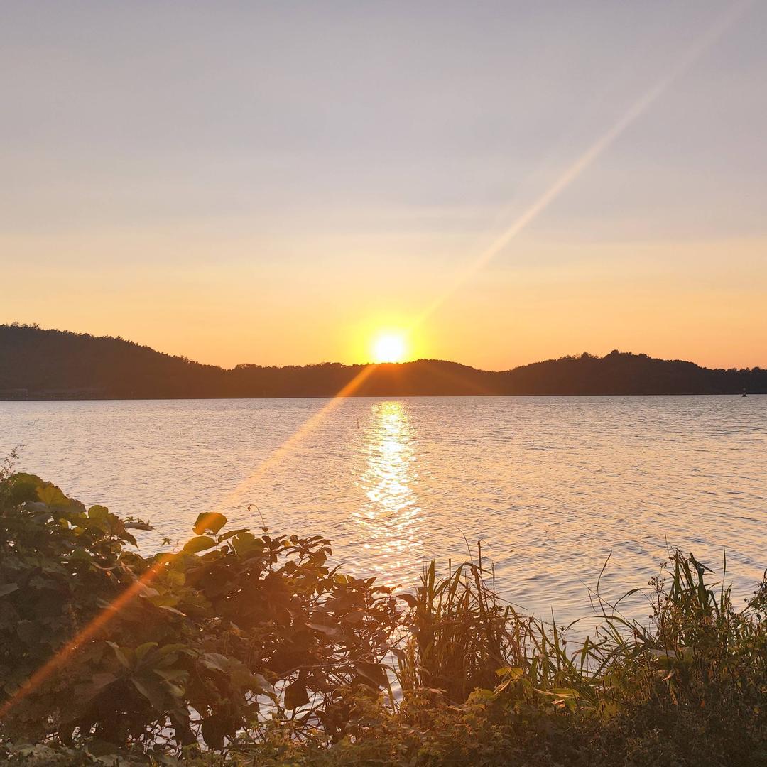 🌈🌈百事☀️可乐