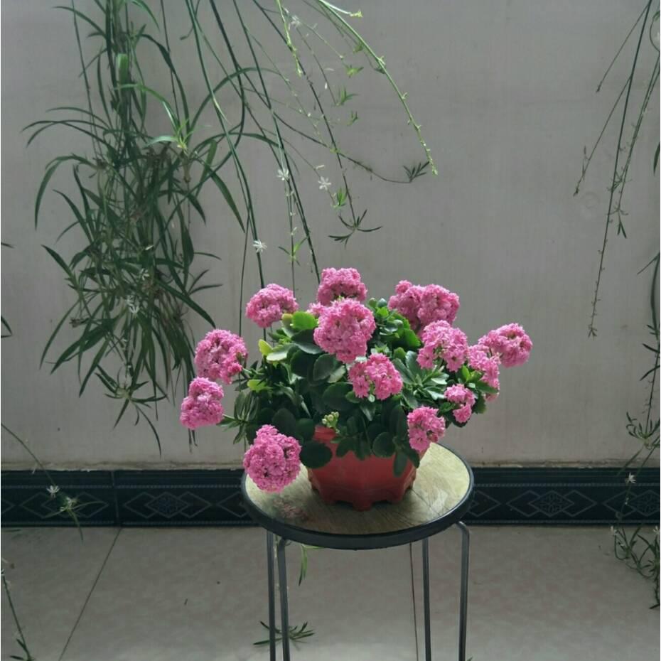 小宝贝~宗