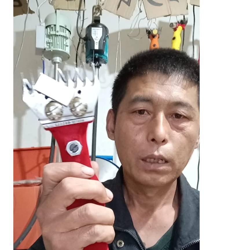 郭哥电动羊毛剪
