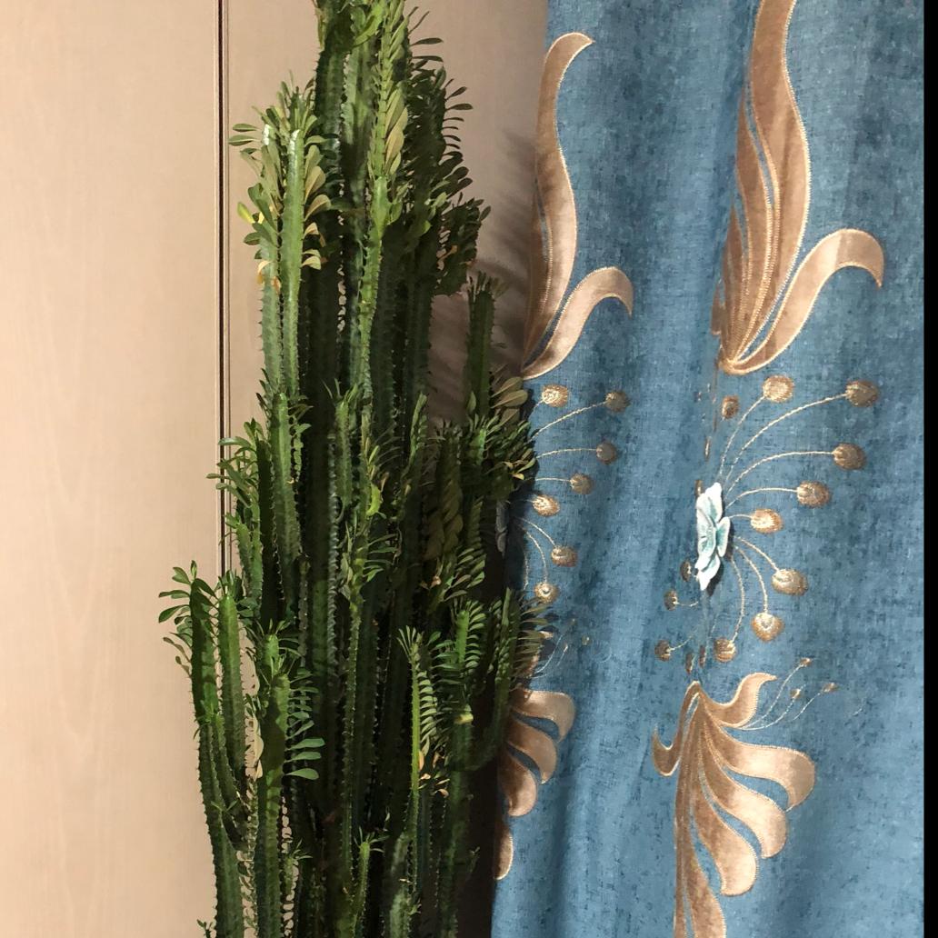 傻媳妇好