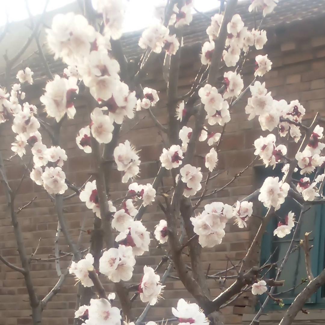 平安快乐