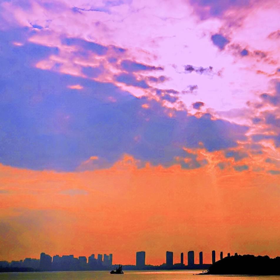 春色满园