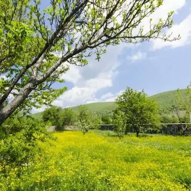 岁月记忆