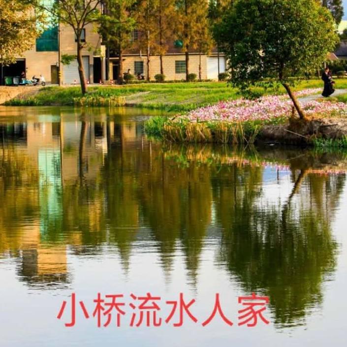 晴天下🐠