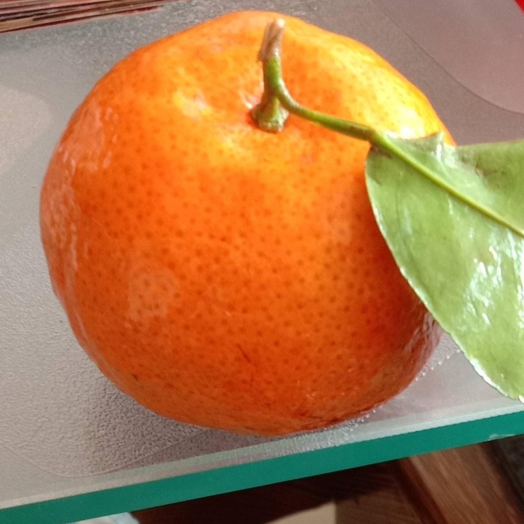 艳阳