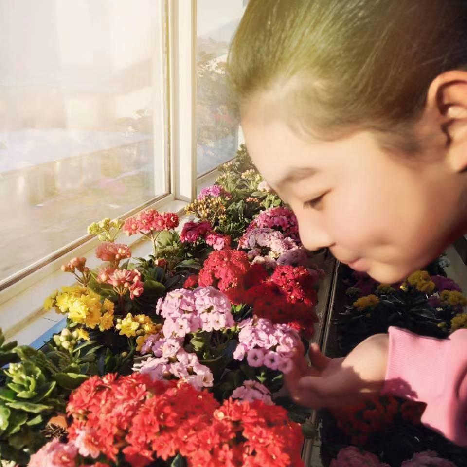 丹妮家花园