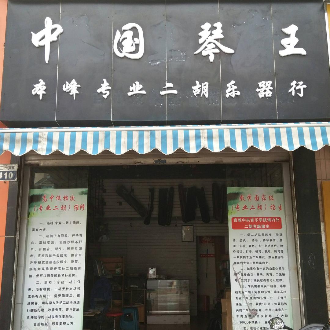 中国琴王
