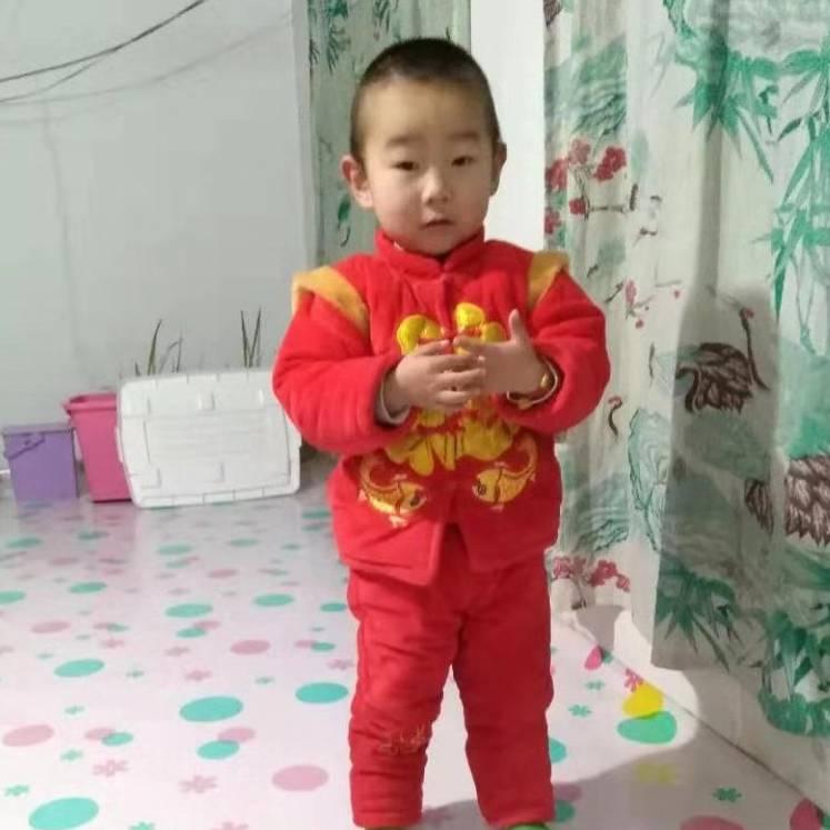 66金猪发财66