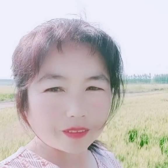 九月玫瑰737