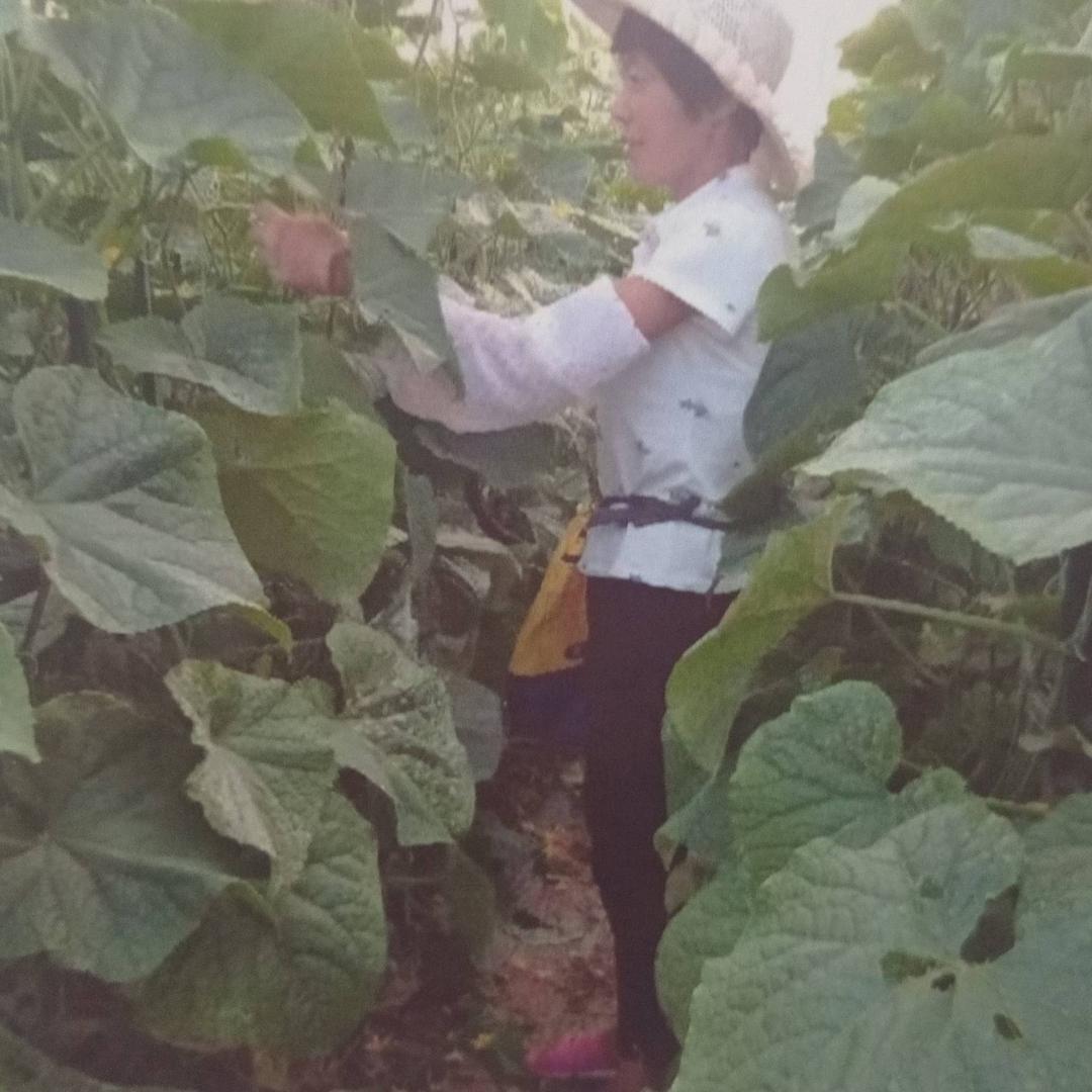 70后的大棚姐❤️❤️❤️