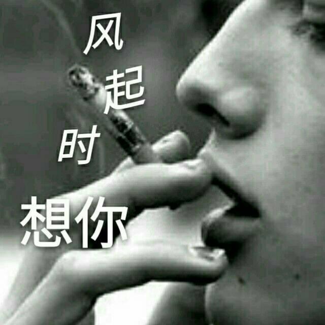 风哥爱剪辑lp