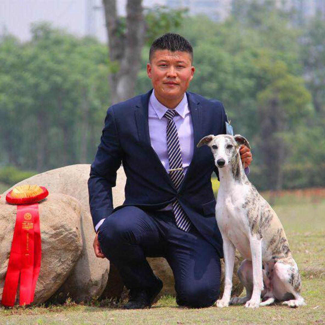 美达犬舍