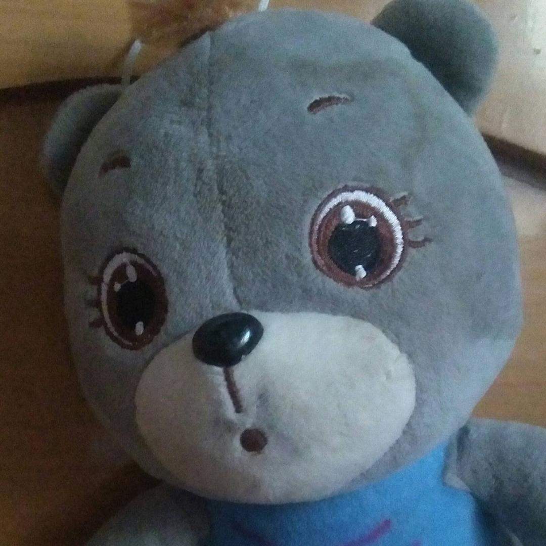 ？？小燕子
