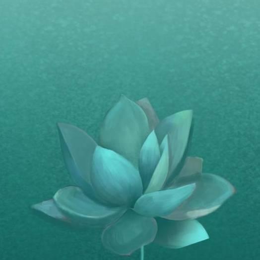 小草，拒绝私聊