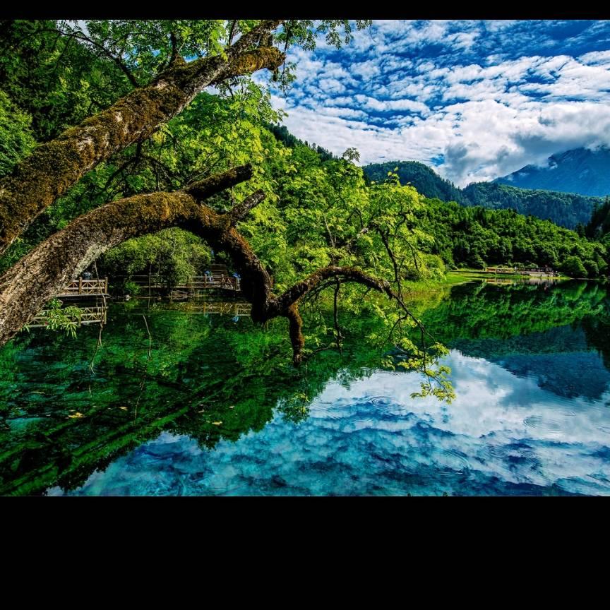 简单浪漫