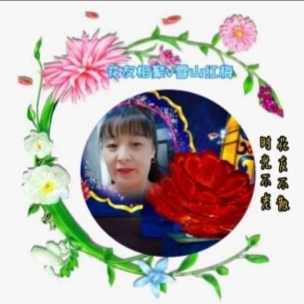 雪山红梅🌺