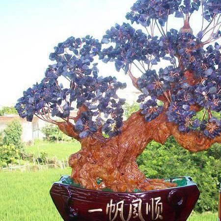 进财兜💰