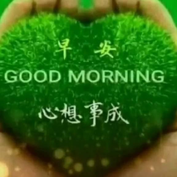 淡雅