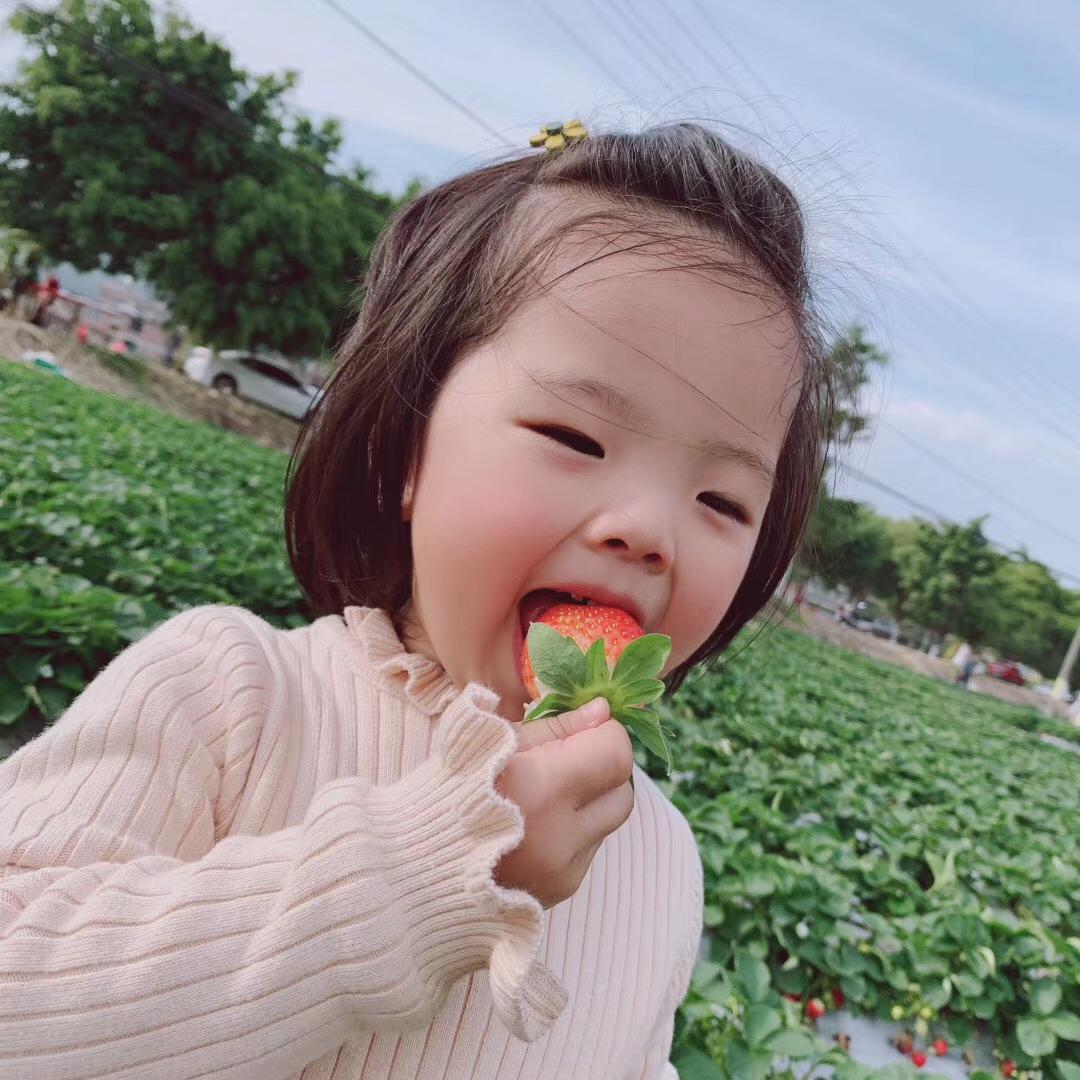 芭乐先生🍀