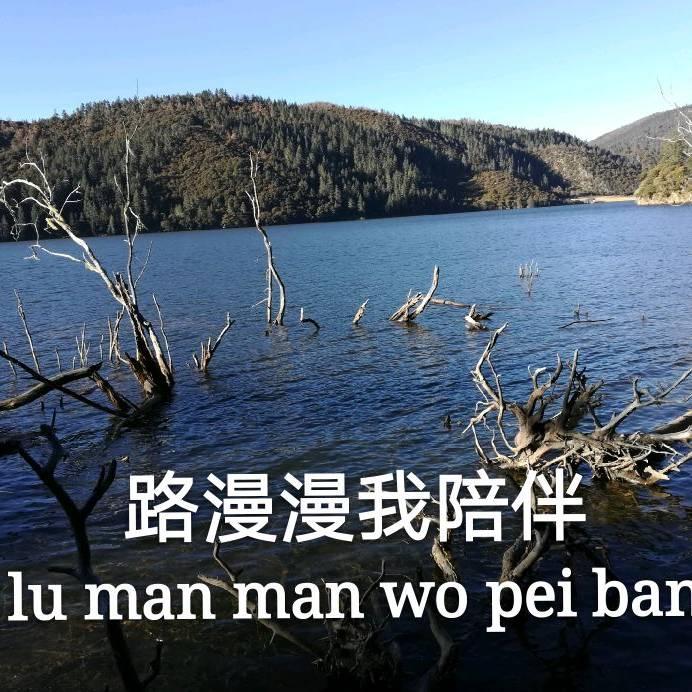 路漫漫我陪伴