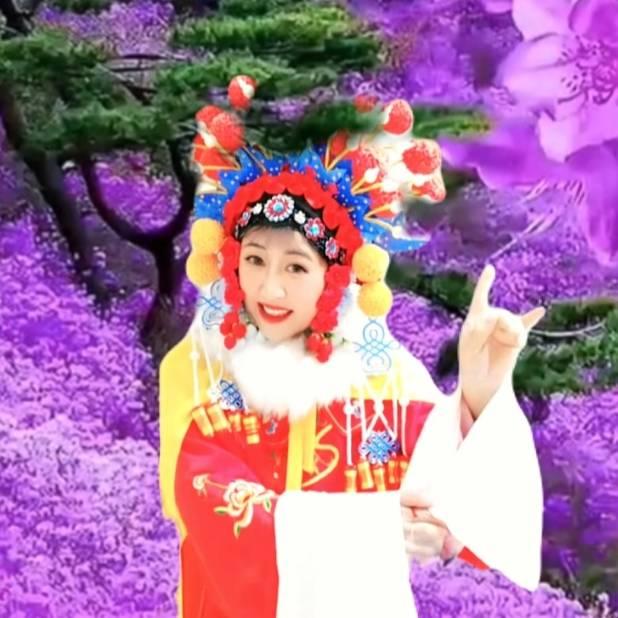 戏曲人生苹