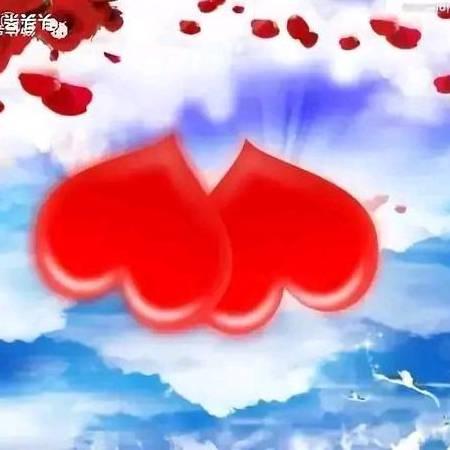 ☘️春暖花开🌷
