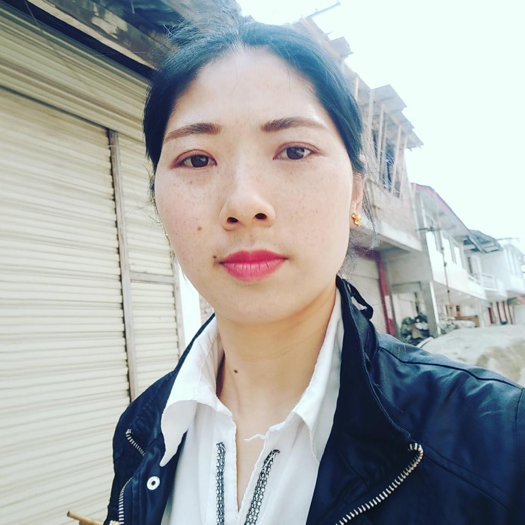 燕子来了旺旺旺